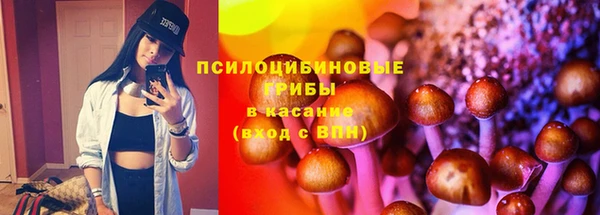 эйфоретик Верея