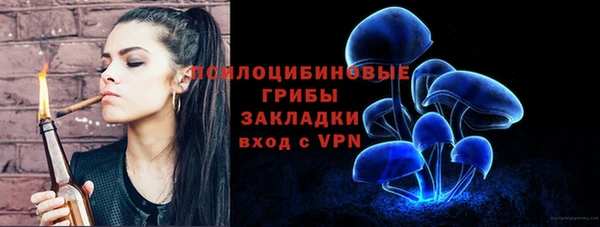 эйфоретик Верея