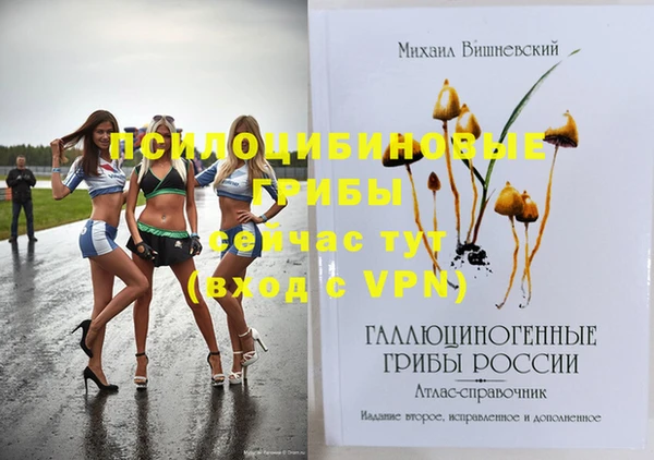 ALPHA PVP Верхний Тагил