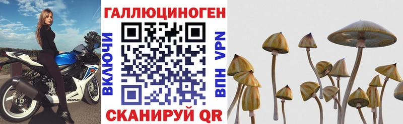 Псилоцибиновые грибы ЛСД  kraken ТОР  Новохопёрск 