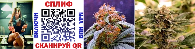 Бошки Шишки OG Kush  Новохопёрск 